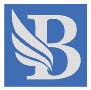 BidLight